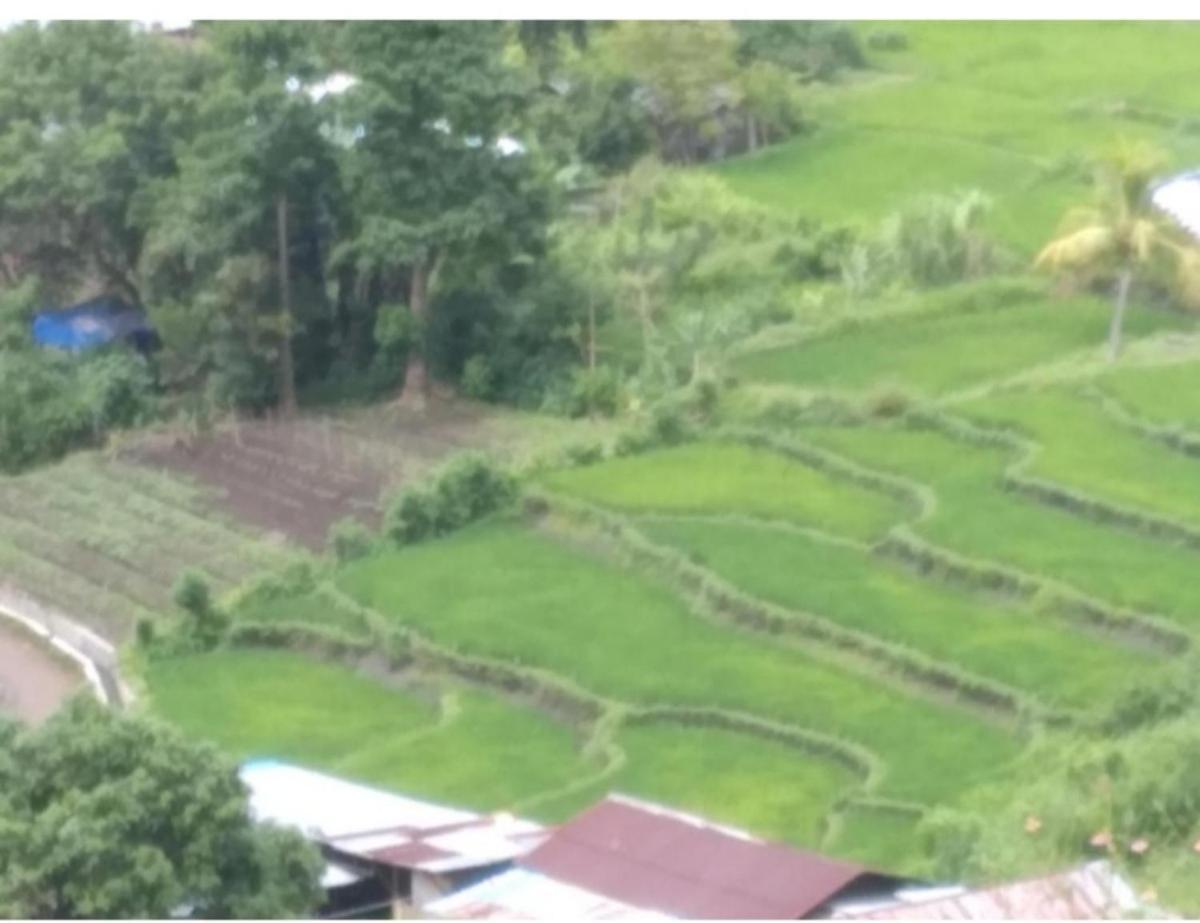 Mushtinal Guest House Kelimutu Luaran gambar